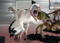 Le Variraptor