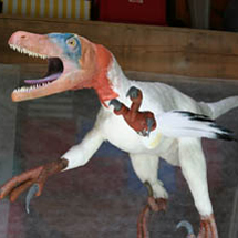 Sculpture de Variraptor