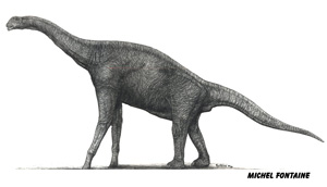 Le grand Atlasaurus