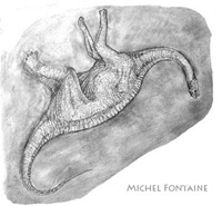 Crayonné d'un Dinosaure réalisé sur le terrain - Michel Fontaine